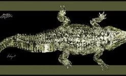 RealFish Gyotaku Floor Mats