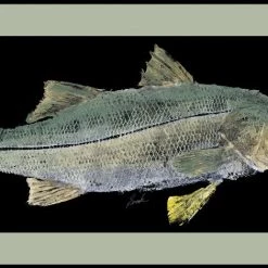 RealFish Gyotaku Floor Mats