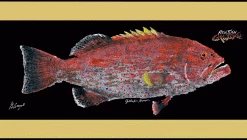 RealFish Gyotaku Floor Mats