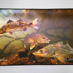 RealFish Gyotaku Floor Mats